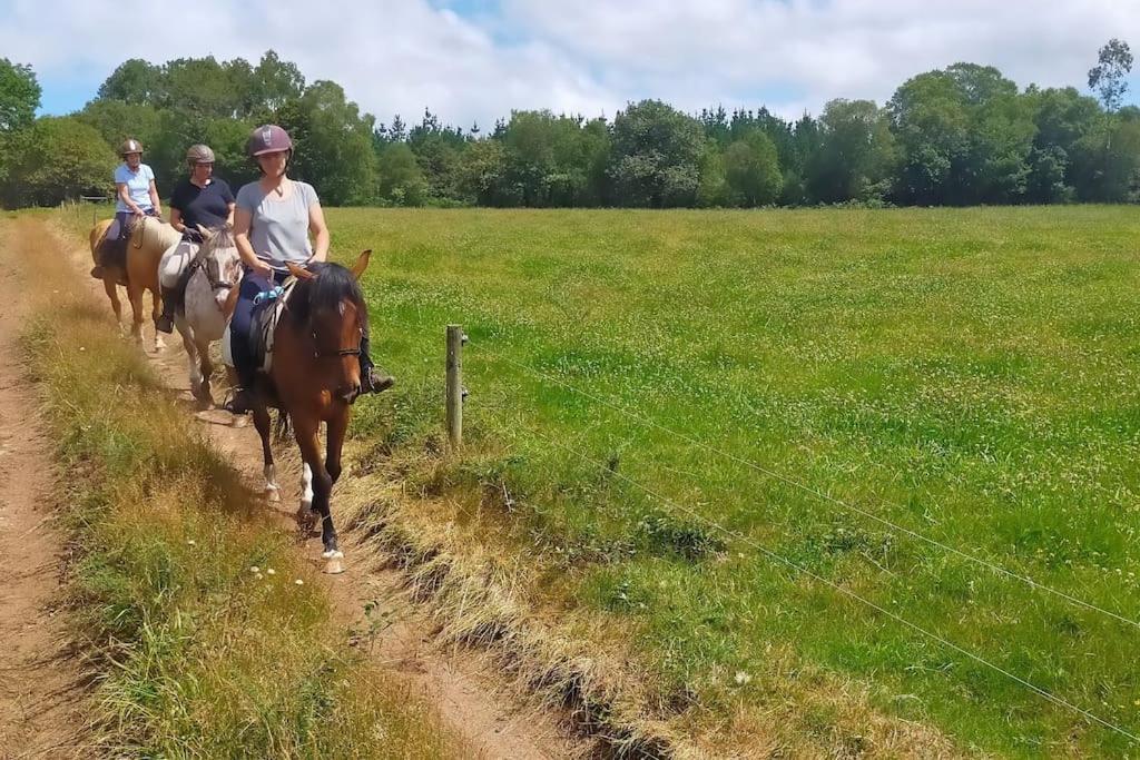 Granja Labrada: Alojamiento Con Caballos Mañón Kültér fotó
