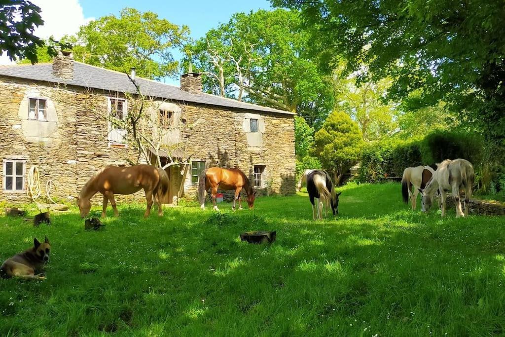 Granja Labrada: Alojamiento Con Caballos Mañón Kültér fotó