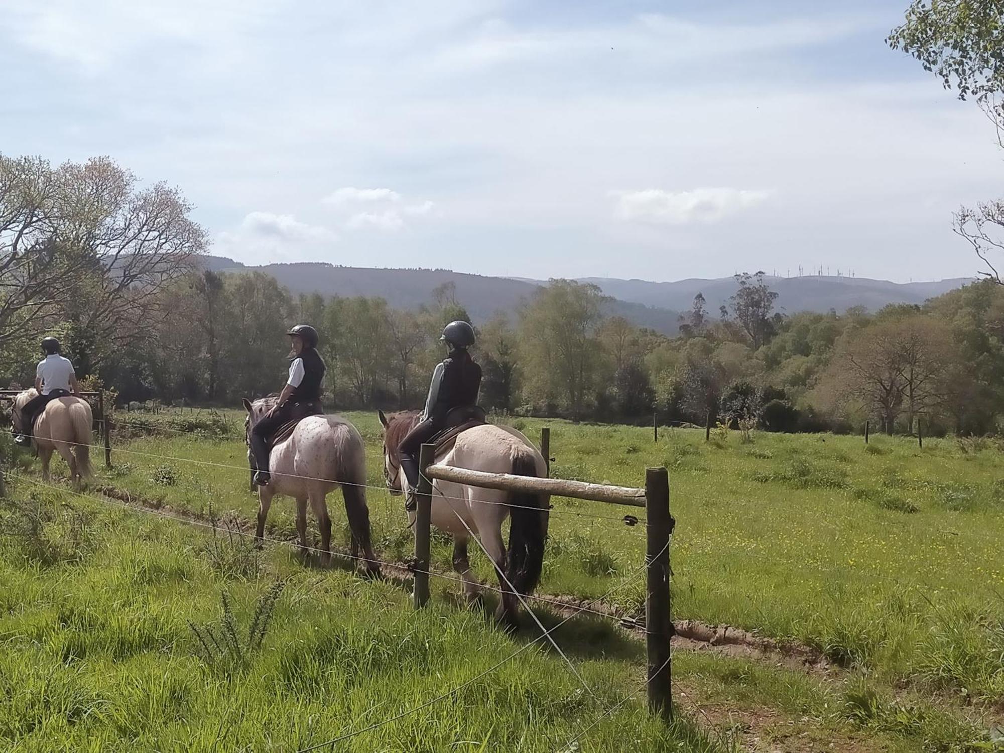 Granja Labrada: Alojamiento Con Caballos Mañón Kültér fotó