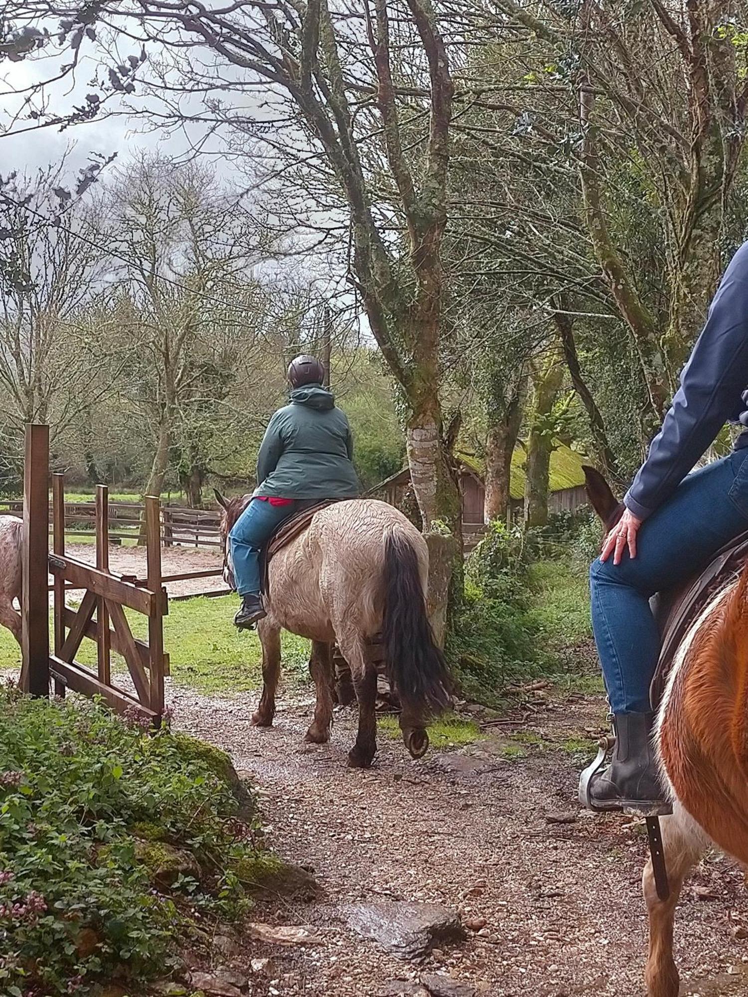 Granja Labrada: Alojamiento Con Caballos Mañón Kültér fotó